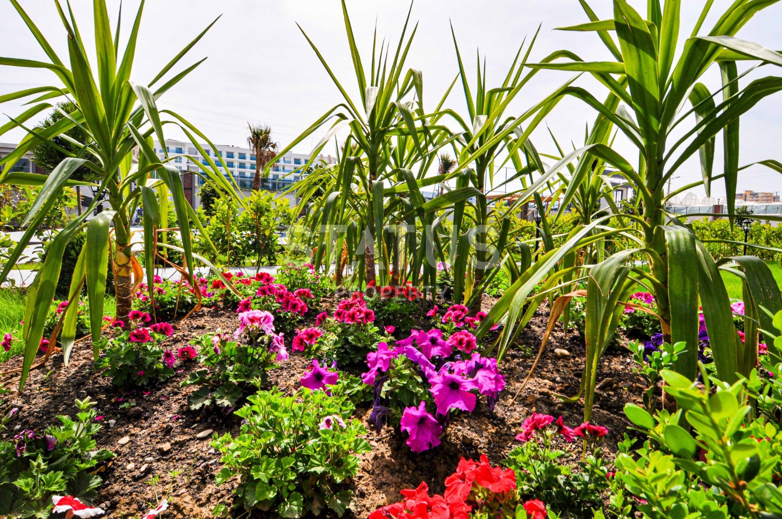 Двухуровневые меблированные апартаменты 2+1, 106м2 с выходом в сад. Каргыджак, Алания. фото 33