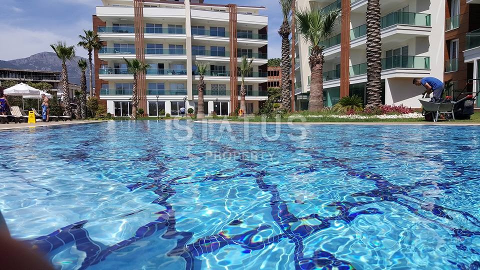 Spacious apartments by the sea in the prestigious area of Oba фото 6