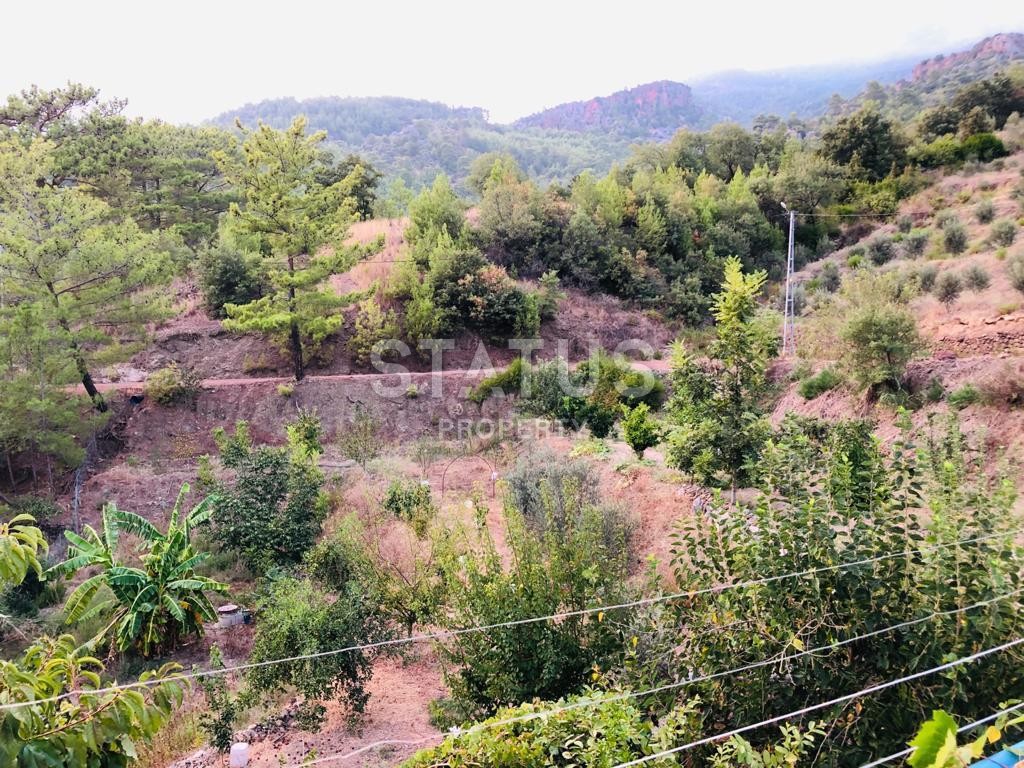 Land plot 3000 m2 with a two-storey house. Demirtas, Alanya. фото 3