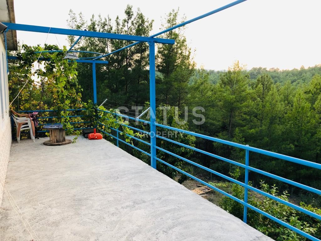Land plot 3000 m2 with a two-storey house. Demirtas, Alanya. фото 5