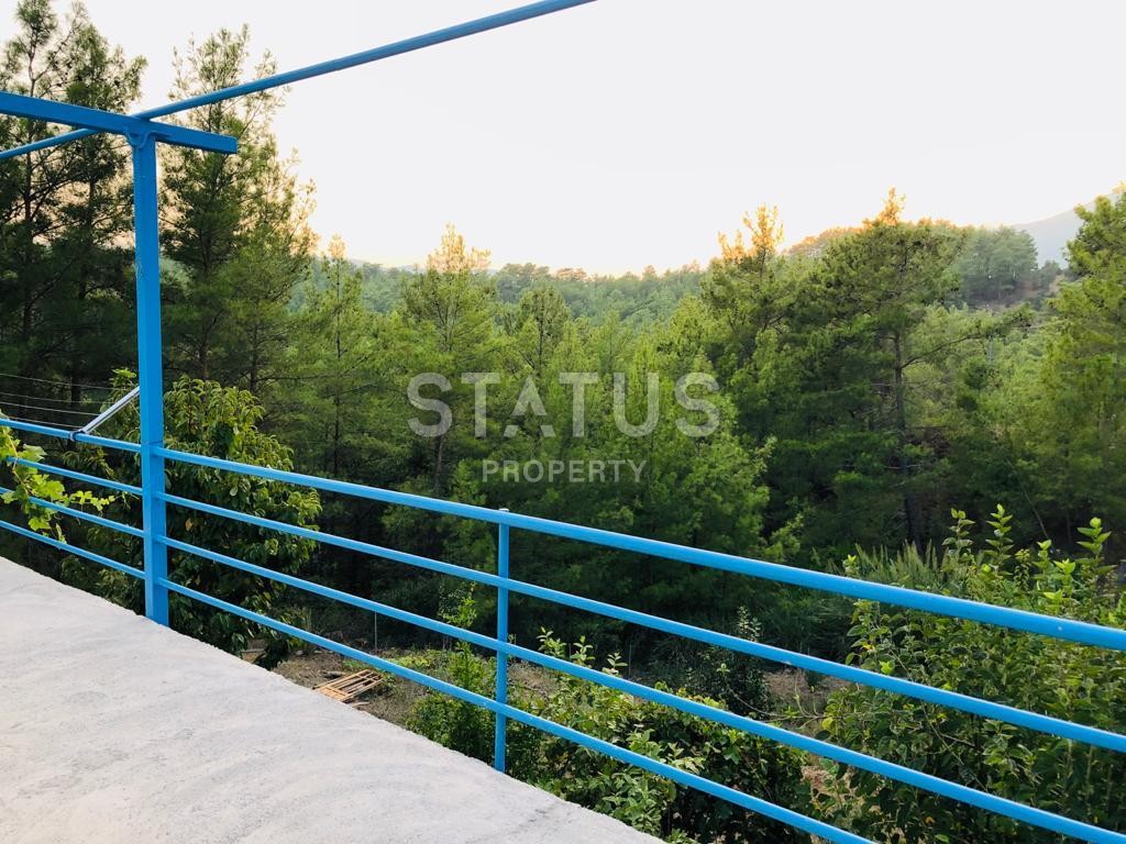 Land plot 3000 m2 with a two-storey house. Demirtas, Alanya. фото 6