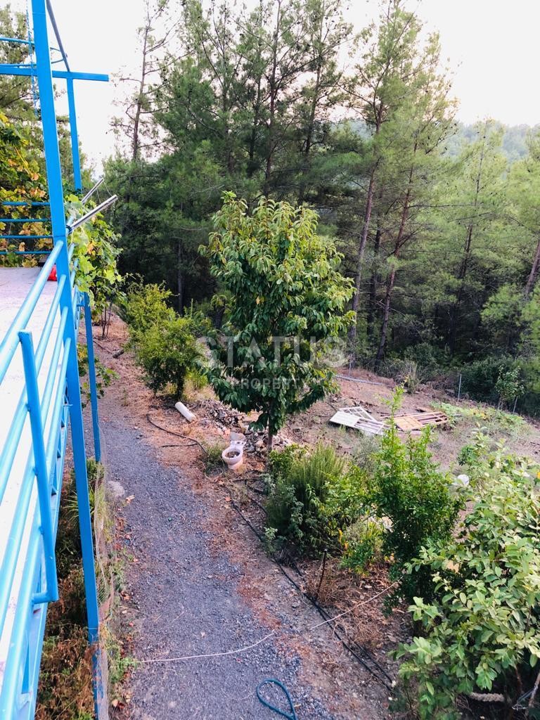 Land plot 3000 m2 with a two-storey house. Demirtas, Alanya. фото 7