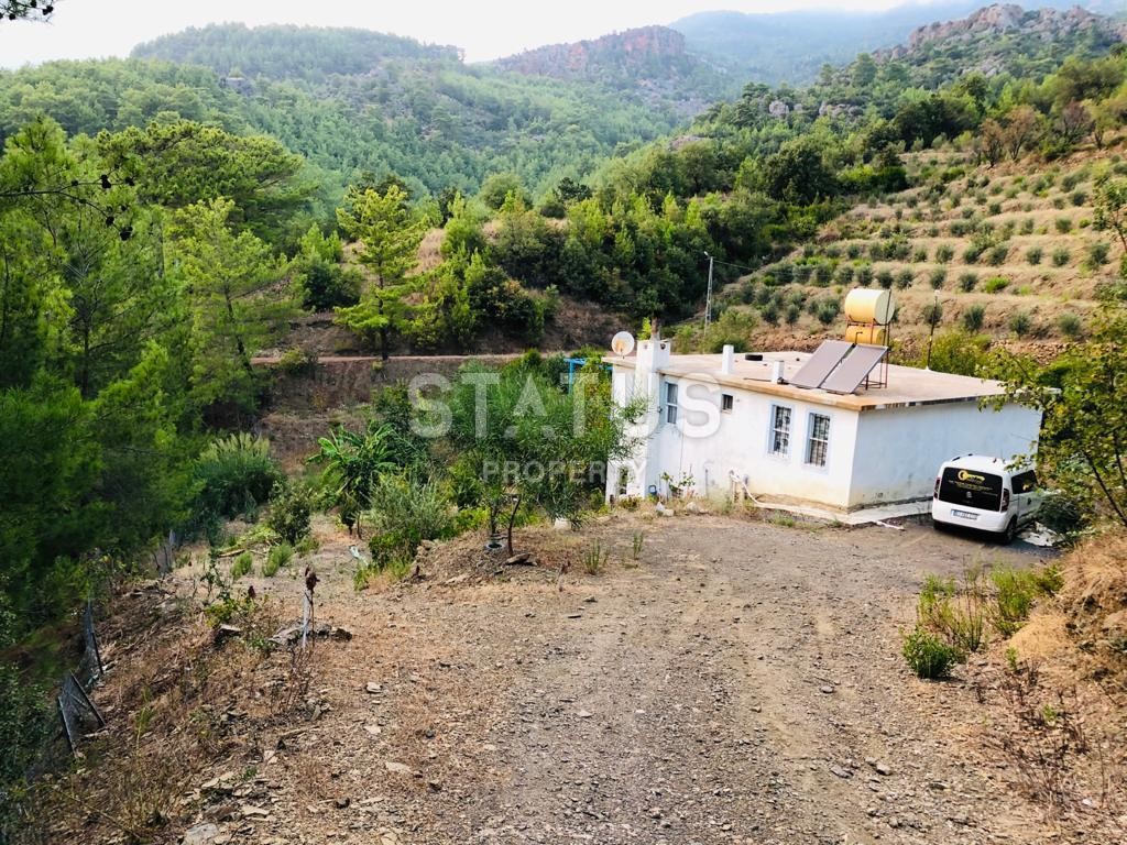 Land plot 3000 m2 with a two-storey house. Demirtas, Alanya. фото 8
