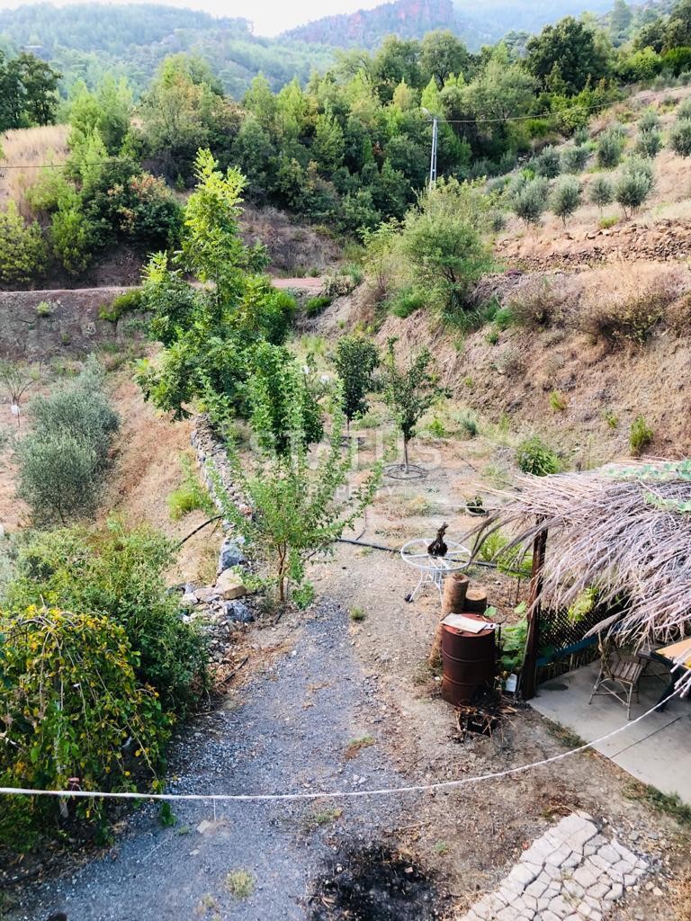 Land plot 3000 m2 with a two-storey house. Demirtas, Alanya. фото 9