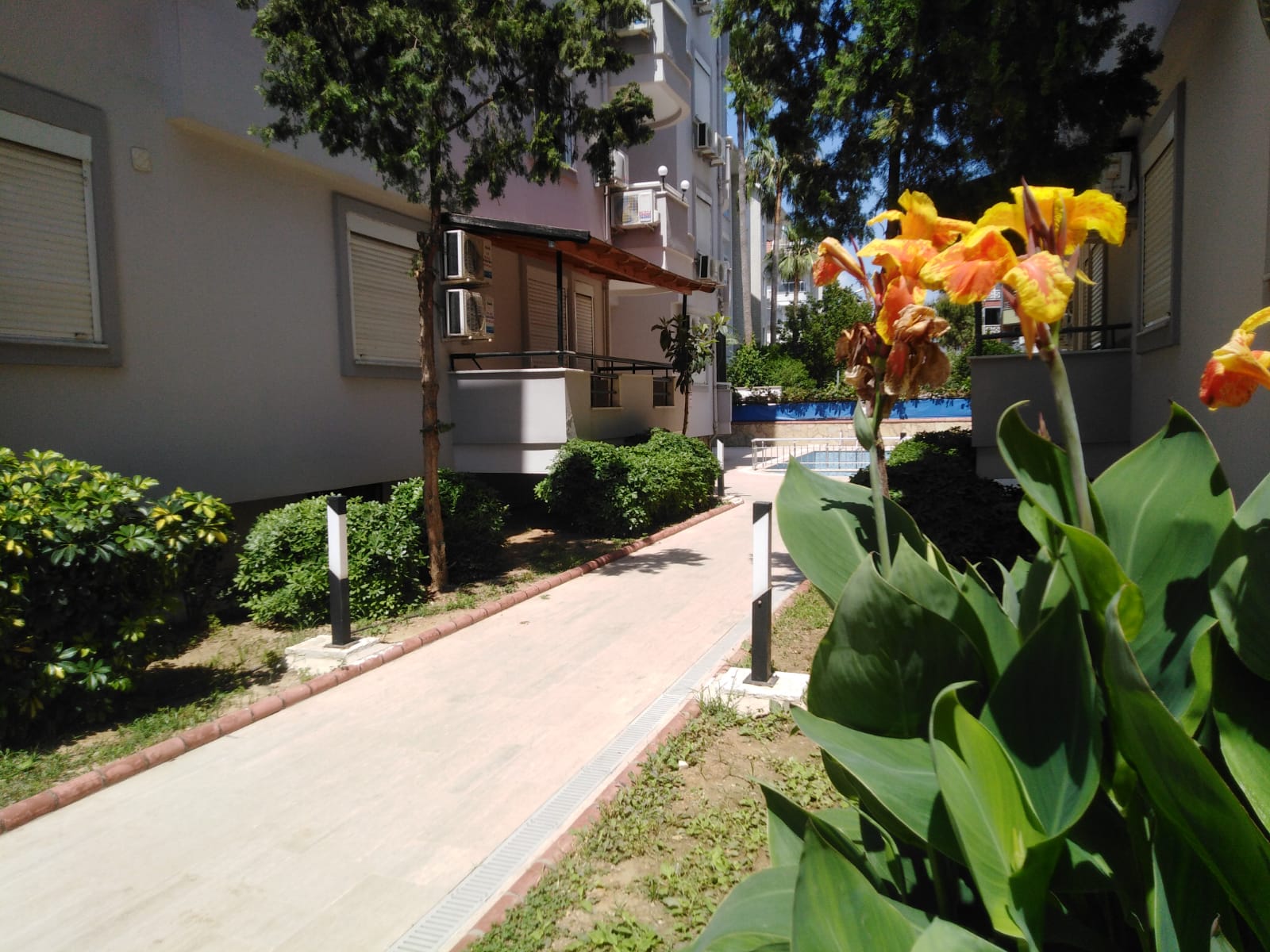 Super price! Apartment 2+1 furnished 200 meters from the sea in Oba, 115 m2. фото 45