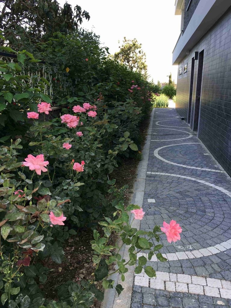 Апартаменты 3+1, 4+1 и 5+1 от 185 до 440 м2 в комплексе класса премиум в Хасбахче, Алания. фото 41