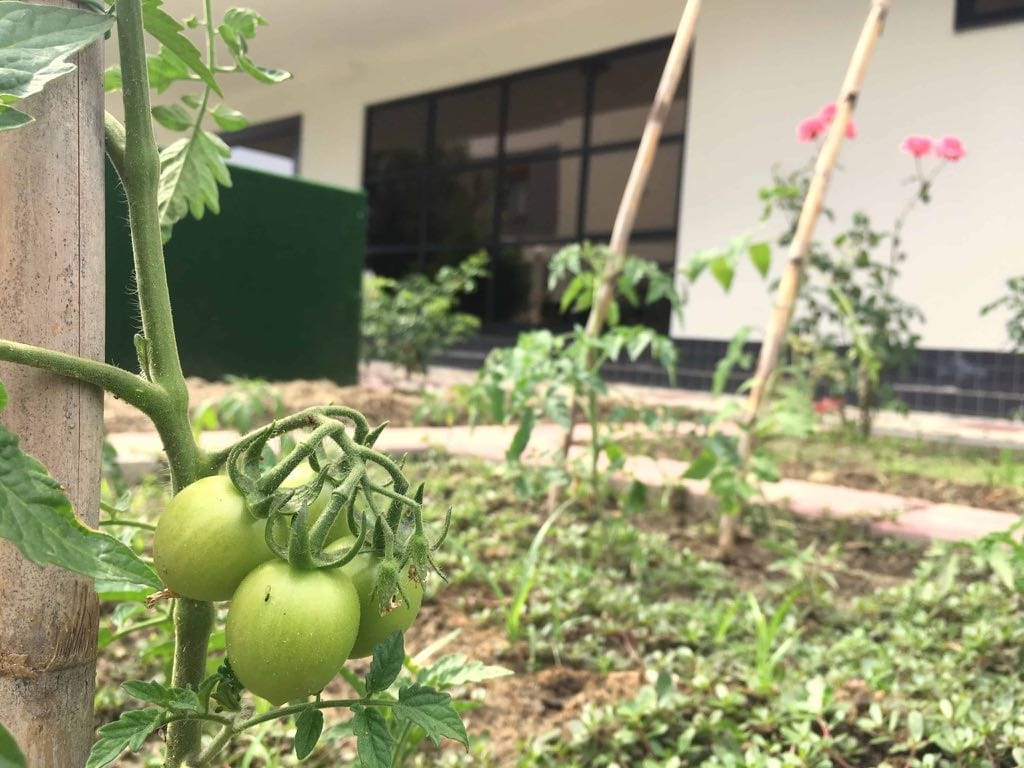 Апартаменты 3+1, 4+1 и 5+1 от 185 до 440 м2 в комплексе класса премиум в Хасбахче, Алания. фото 103