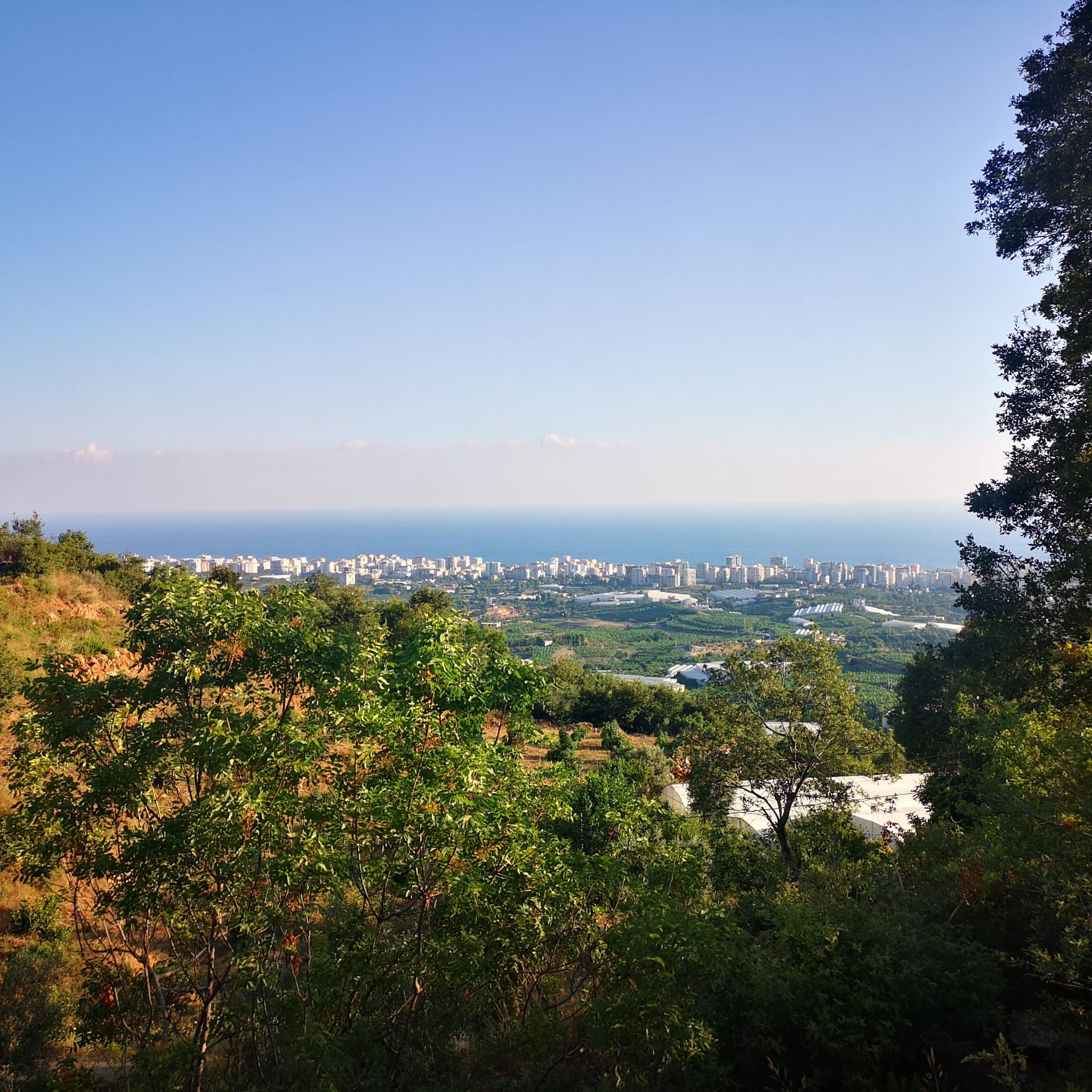 Land plot of 1000 m2 overlooking the Mediterranean Sea. Mahmutlar, Alanya. фото 4