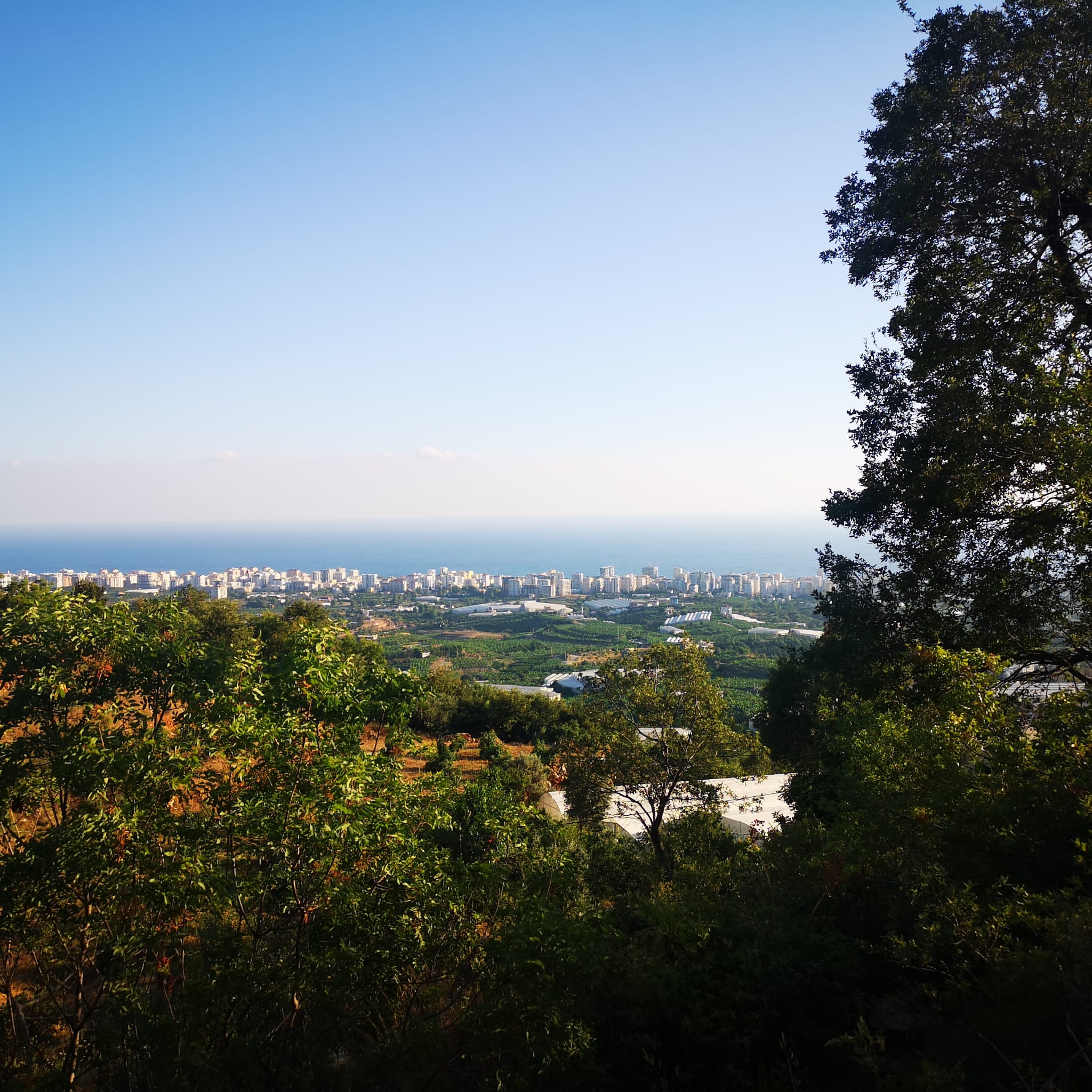 Land plot of 1000 m2 overlooking the Mediterranean Sea. Mahmutlar, Alanya. фото 5