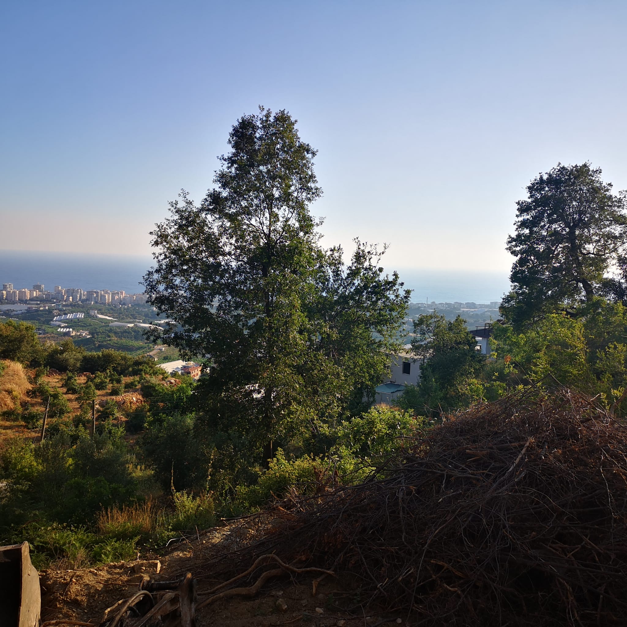 Land plot of 1000 m2 overlooking the Mediterranean Sea. Mahmutlar, Alanya. фото 7