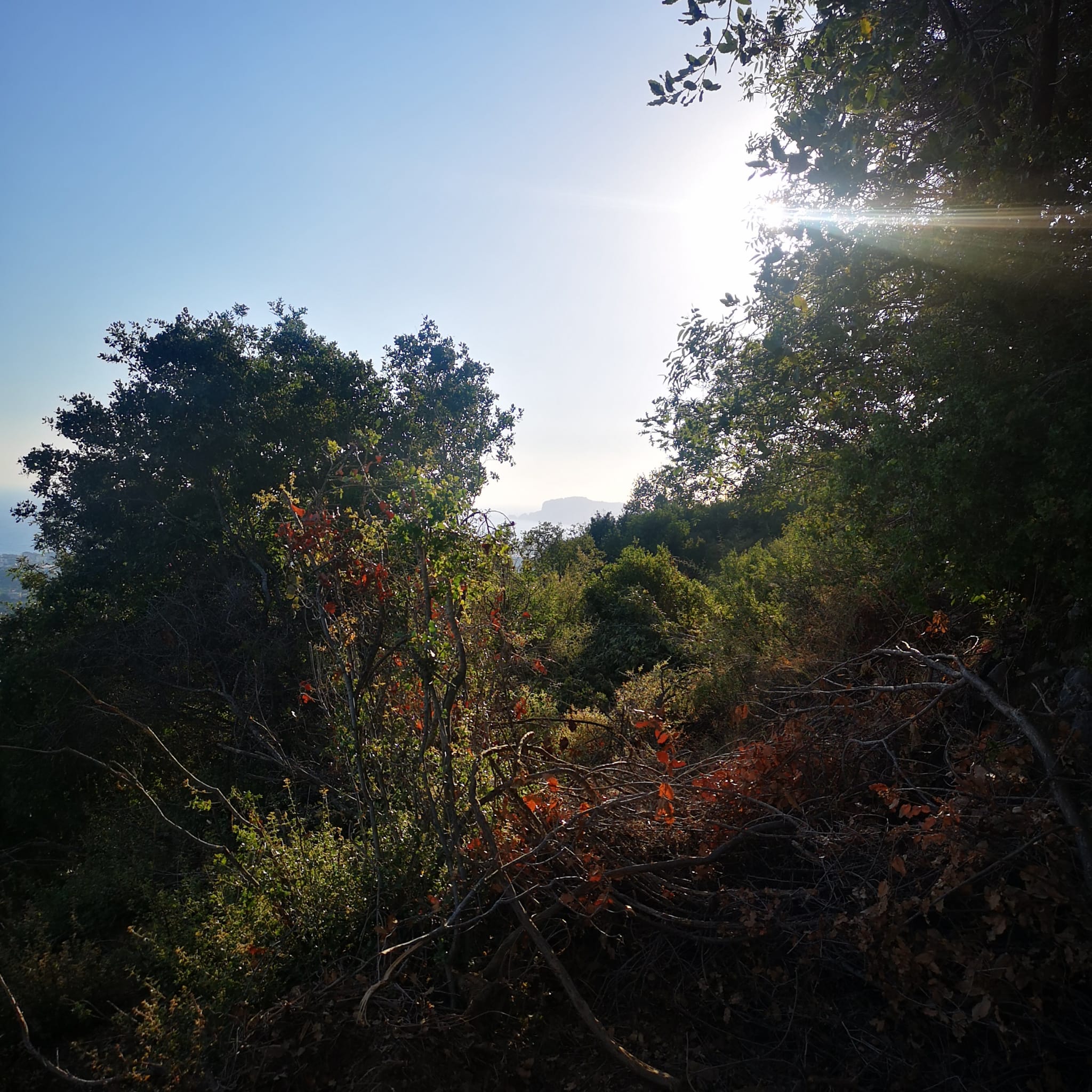 Land plot of 1000 m2 overlooking the Mediterranean Sea. Mahmutlar, Alanya. фото 9