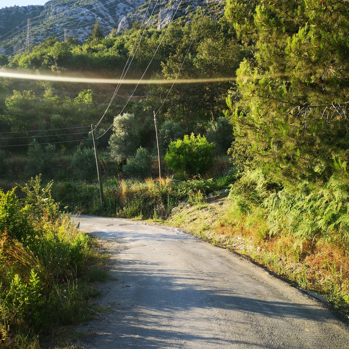 Land plot of 1000 m2 overlooking the Mediterranean Sea. Mahmutlar, Alanya. фото 11