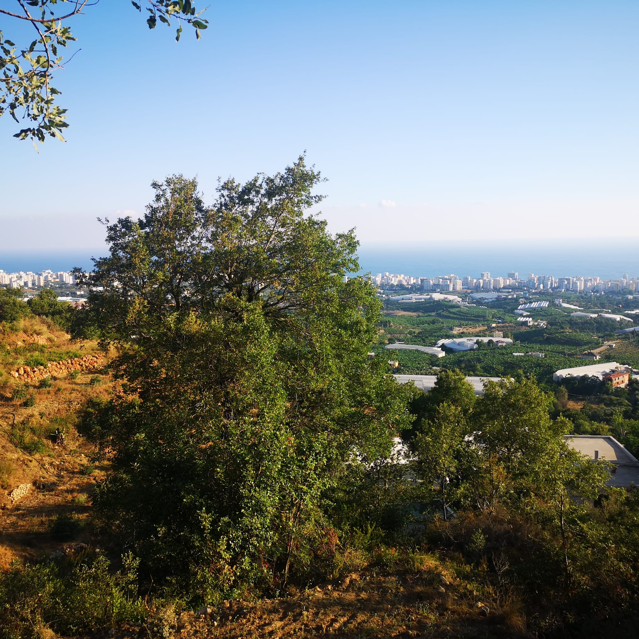 Land plot of 1000 m2 overlooking the Mediterranean Sea. Mahmutlar, Alanya. фото 12
