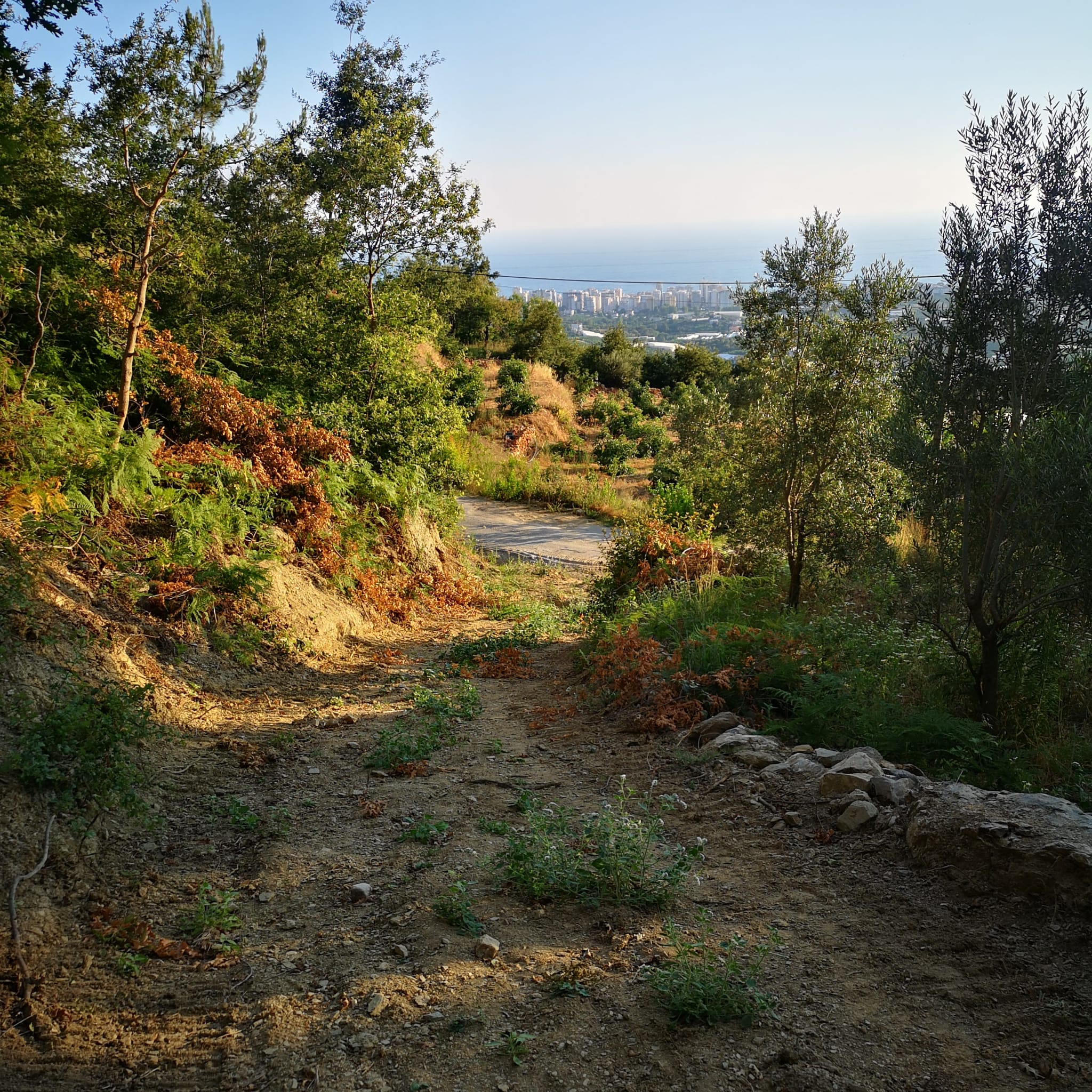 Land plot of 1000 m2 overlooking the Mediterranean Sea. Mahmutlar, Alanya. фото 15