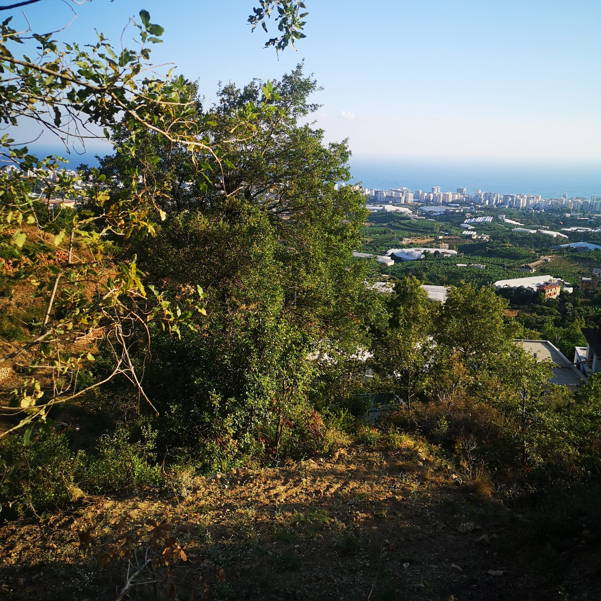 Land plot of 1000 m2 overlooking the Mediterranean Sea. Mahmutlar, Alanya. фото 17
