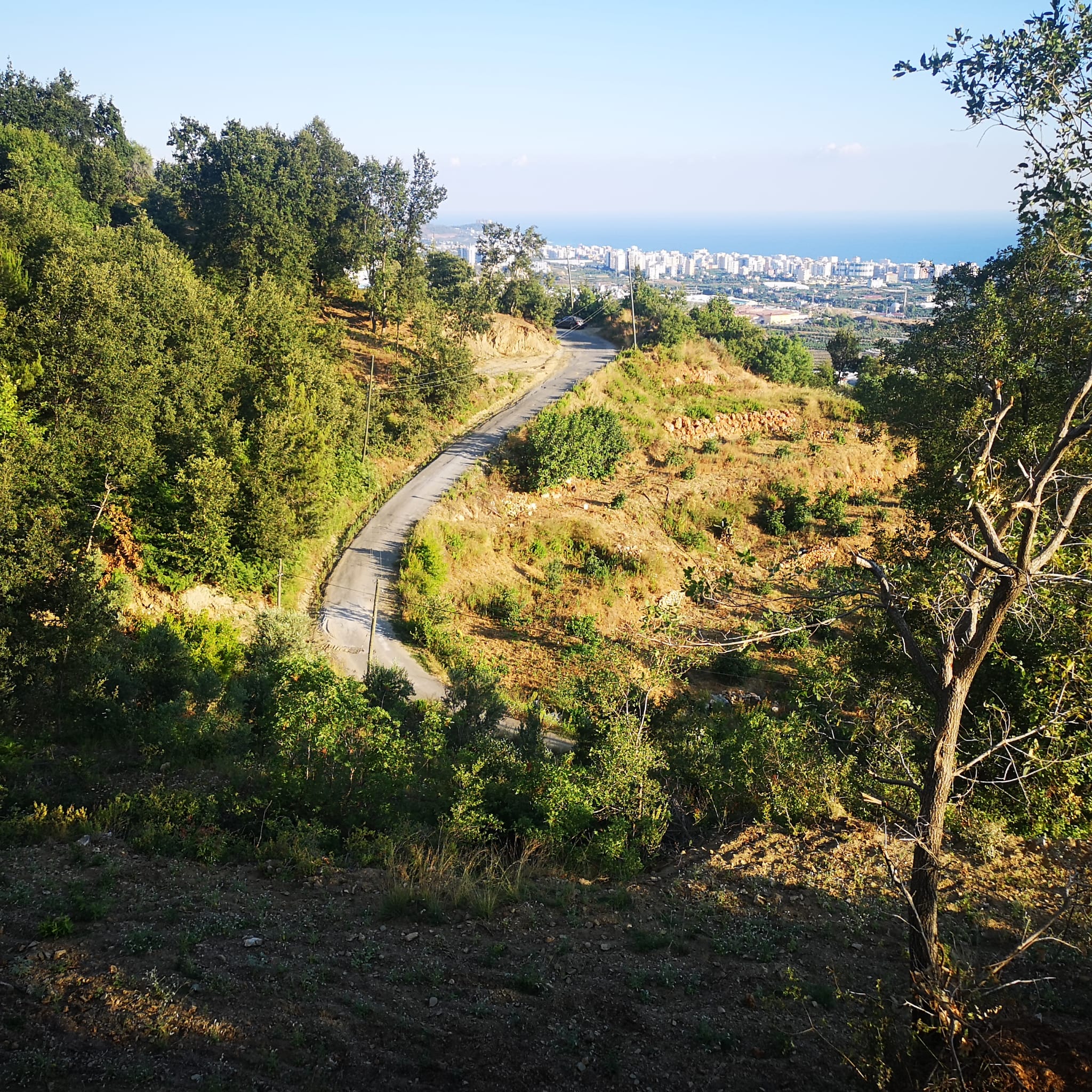 Land plot of 1000 m2 overlooking the Mediterranean Sea. Mahmutlar, Alanya. фото 18