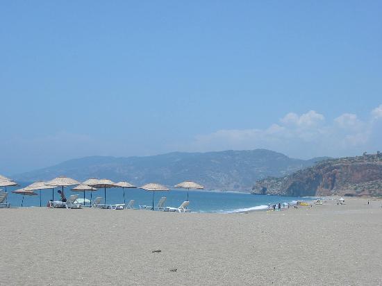 Земельный участок 1572 м2 с видом на море в популярном районе Кору в Газипаша. фото 4