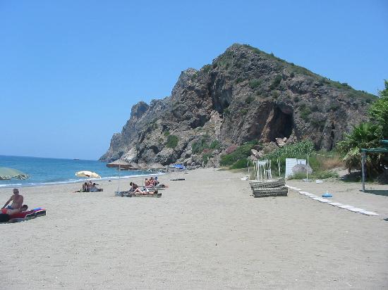 Земельный участок 1572 м2 с видом на море в популярном районе Кору в Газипаша. фото 5