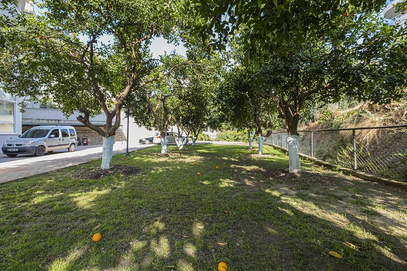 Отличная квартира 1+1 с мебелью в районе Джикджилли, 70 м2 фото 6