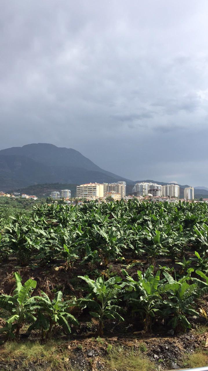 Квартира для жизни и отдыха в комплексе отельного типа фото 32