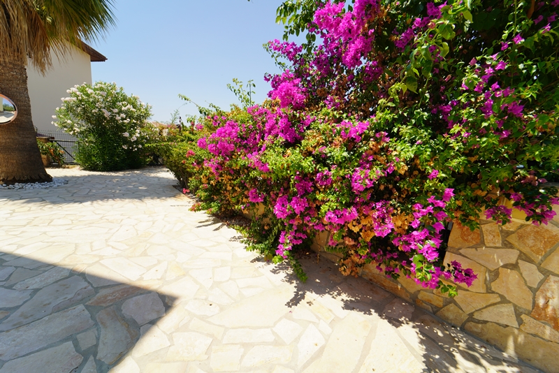 Вилла 3+1 с видом на море в экологическом районе, 450м2. Каргыджак, Алания. фото 49