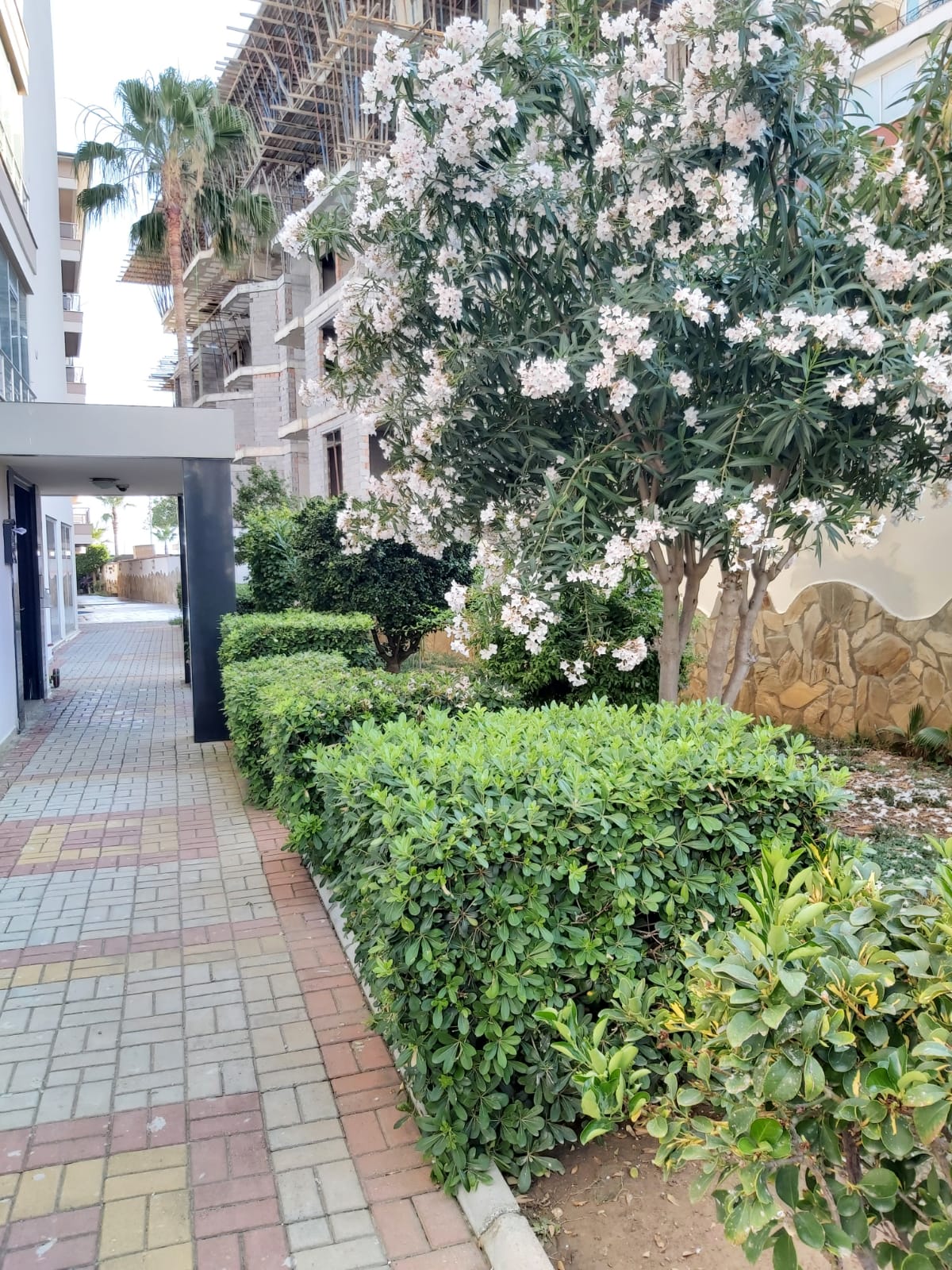 Квартира 3+1, в Обе с видом на море. 135 кв.м. фото 35