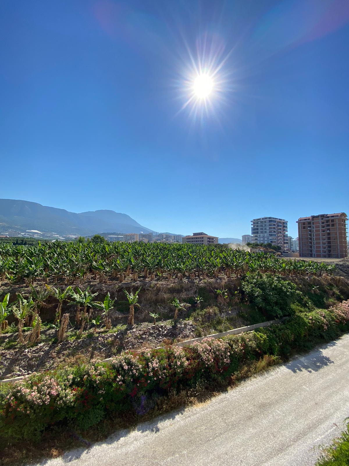 Квартира-студия с мебелью в одном из лучших комплексов Махмутлара, 45 м2 фото 44