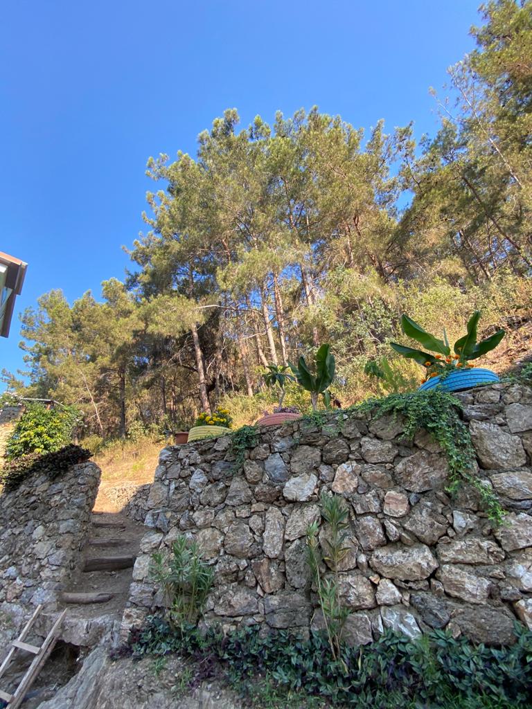 Gorgeous garden dublex in Kargicak with sea view close to the beach! 160 sq.m. фото 14