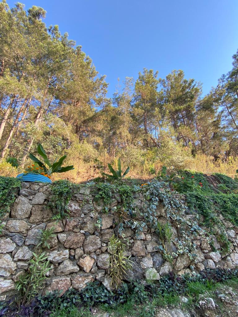 Gorgeous garden dublex in Kargicak with sea view close to the beach! 160 sq.m. фото 40