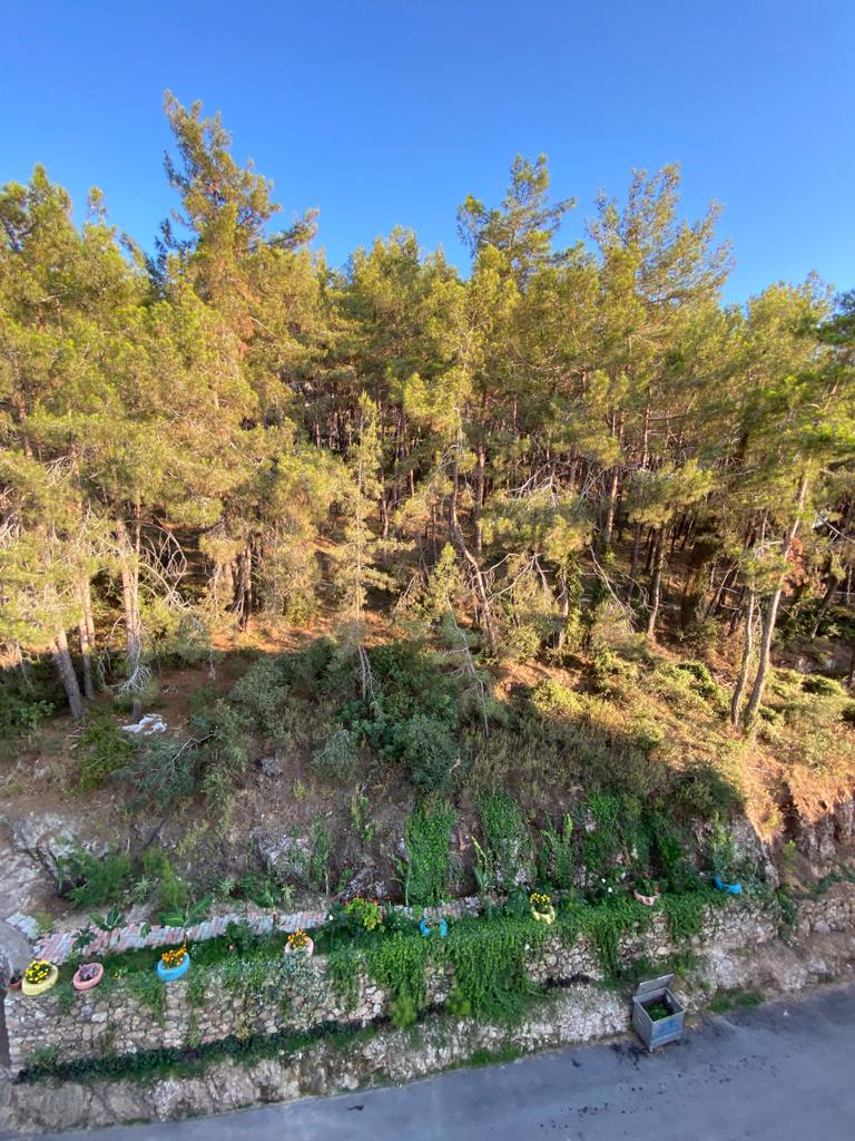 Luxury penthouse with sea views in Kargicak, close to the beach. 260 sq.m. фото 41