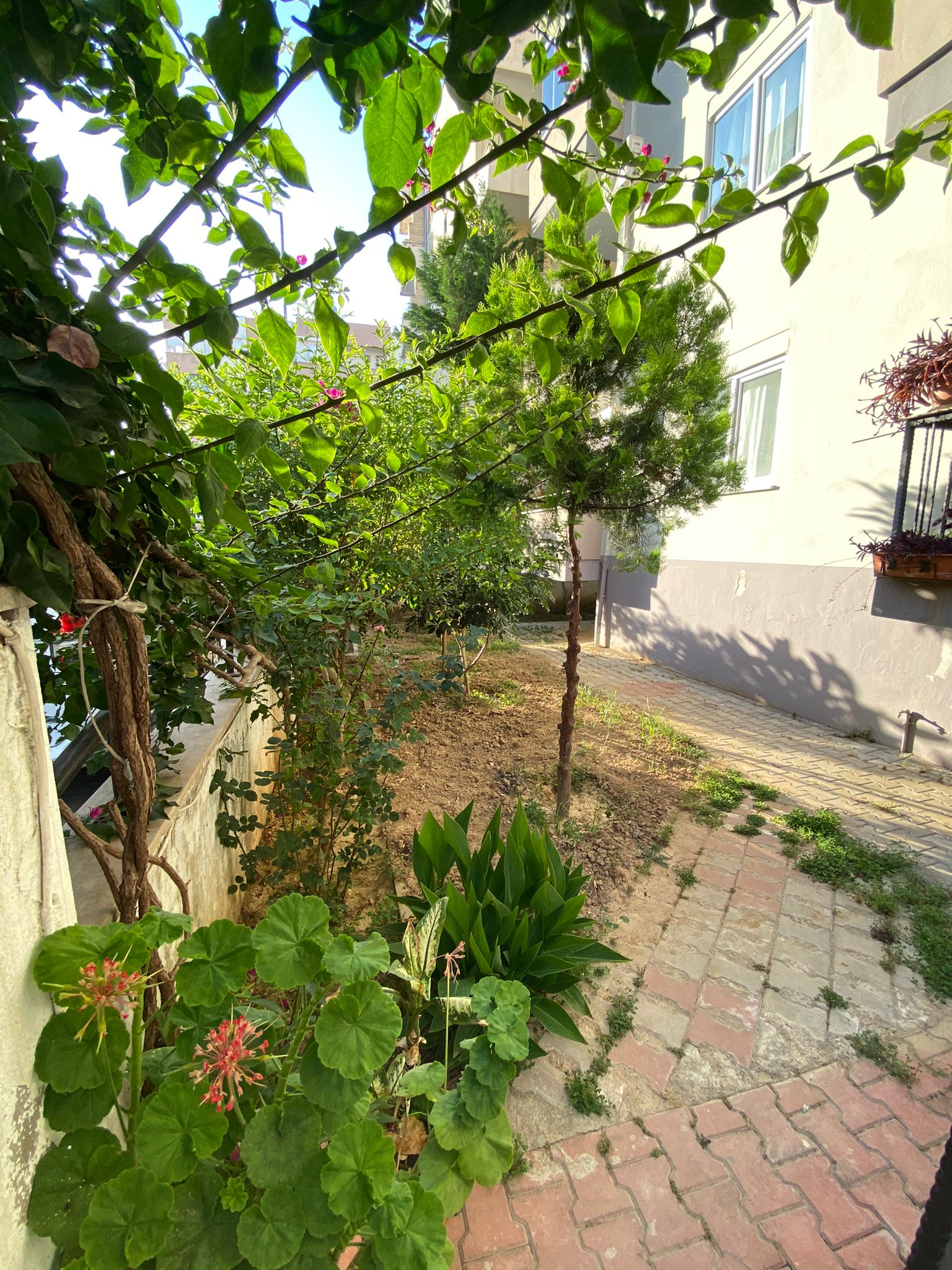 Бюджетный пентхаус 3+1 в центре Махмутлара 225 кв.м. фото 34