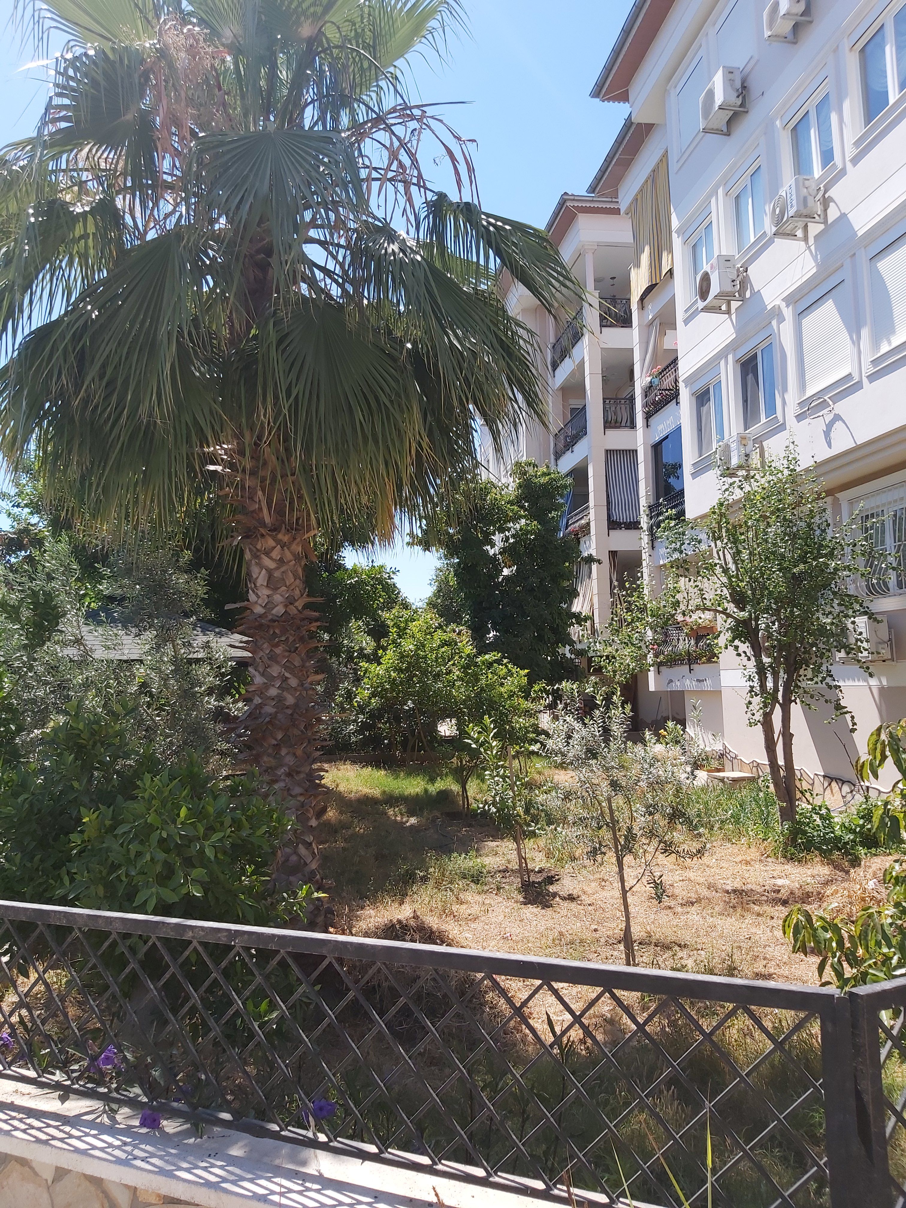 Квартира 3+1 в центральной части Алании, 140 м2 фото 22