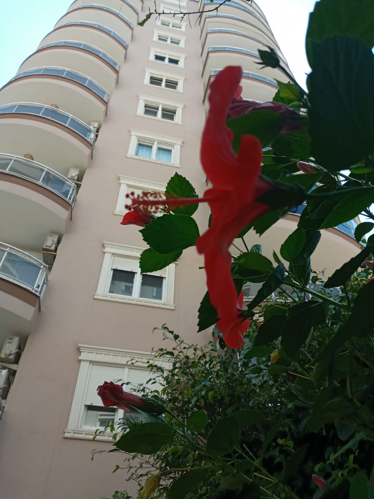 Квартира 2+1 в трёх минутах от моря в Махмутларе, 95 м2. фото 7