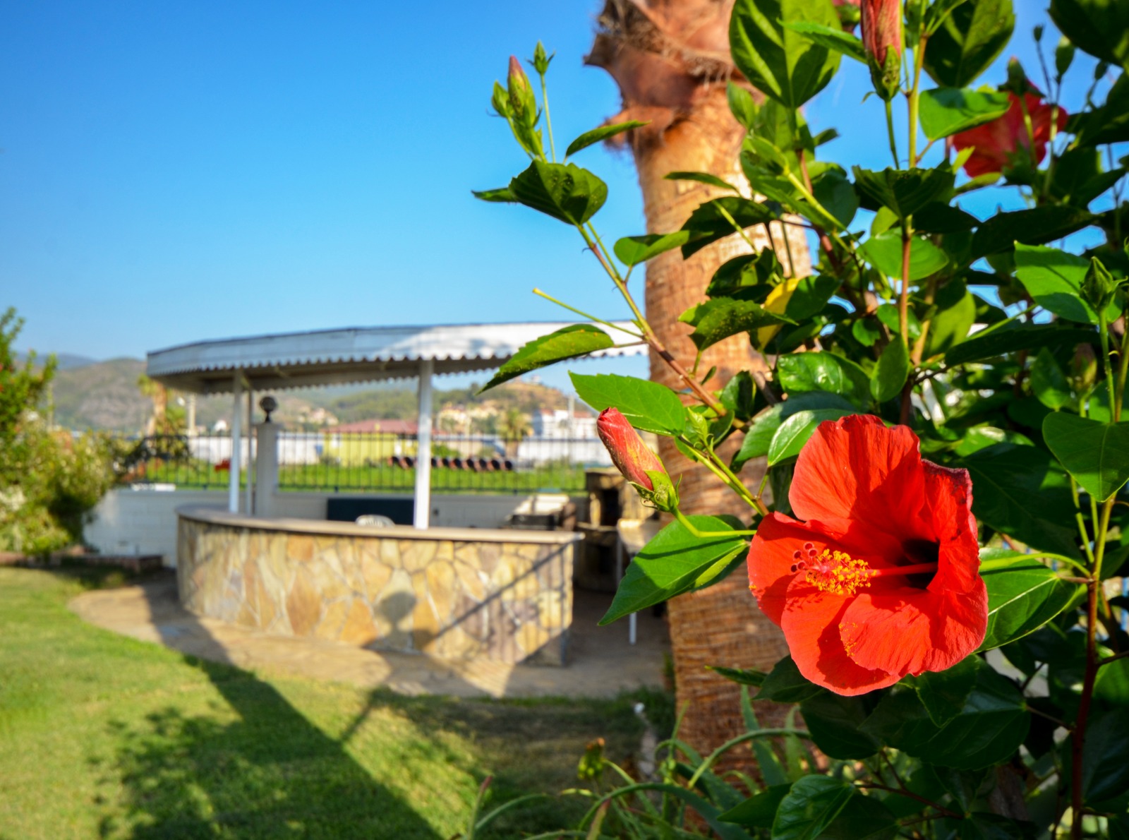 Spacious apartment 1+1 in a quiet natural area Demirtas, 70 m2. фото 19