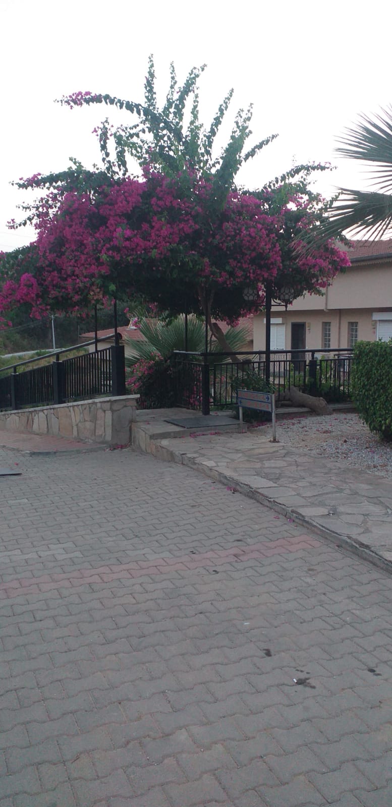 Вилла 3+1 с панорамным видом на море, 130 м2. Каргыджак, Алания. фото 22