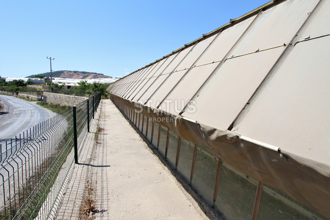 Земельный участок с большим домом и теплицей в Ходжалар, Алания. фото 20
