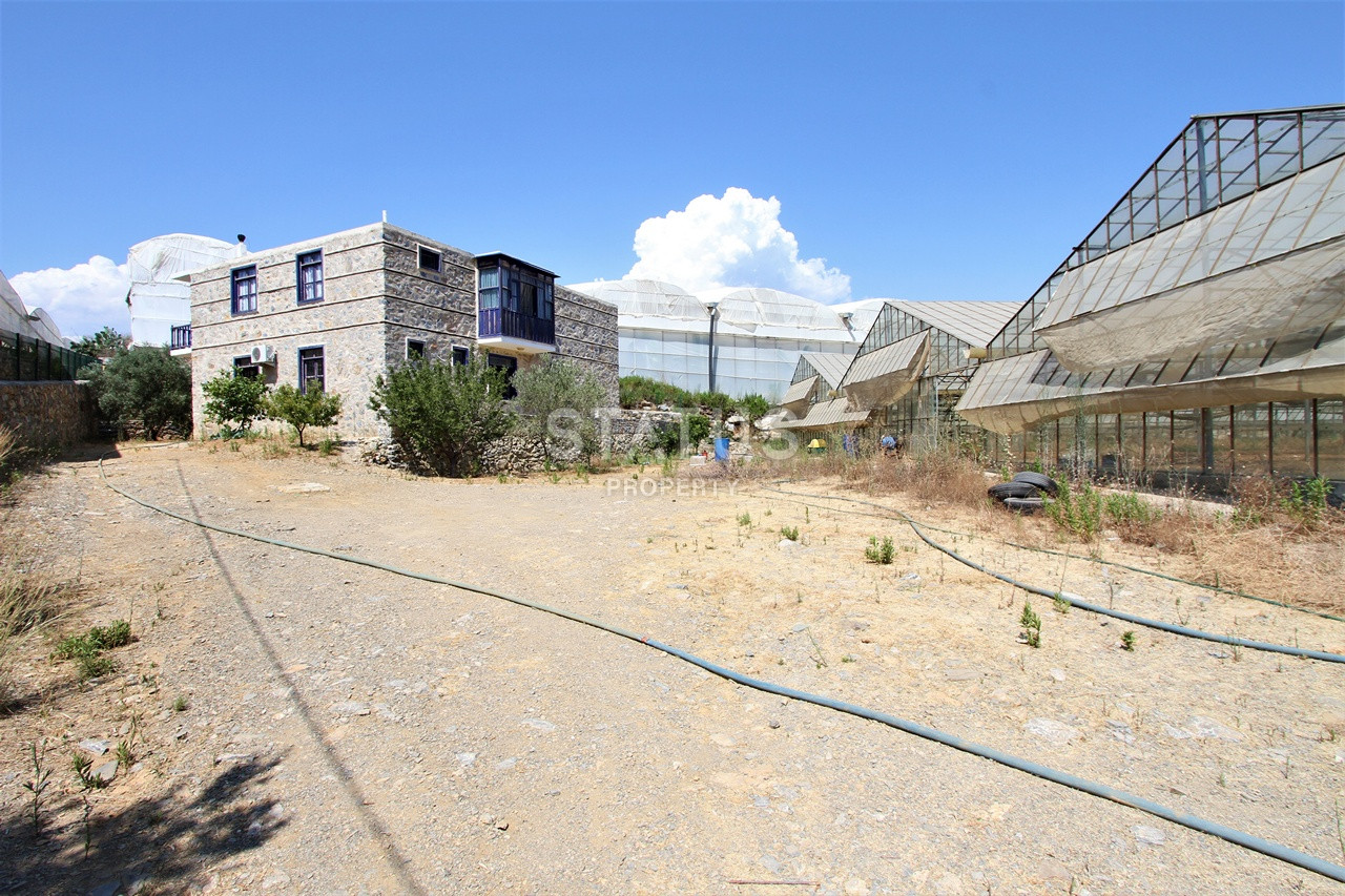 Земельный участок с большим домом и теплицей в Ходжалар, Алания. фото 24