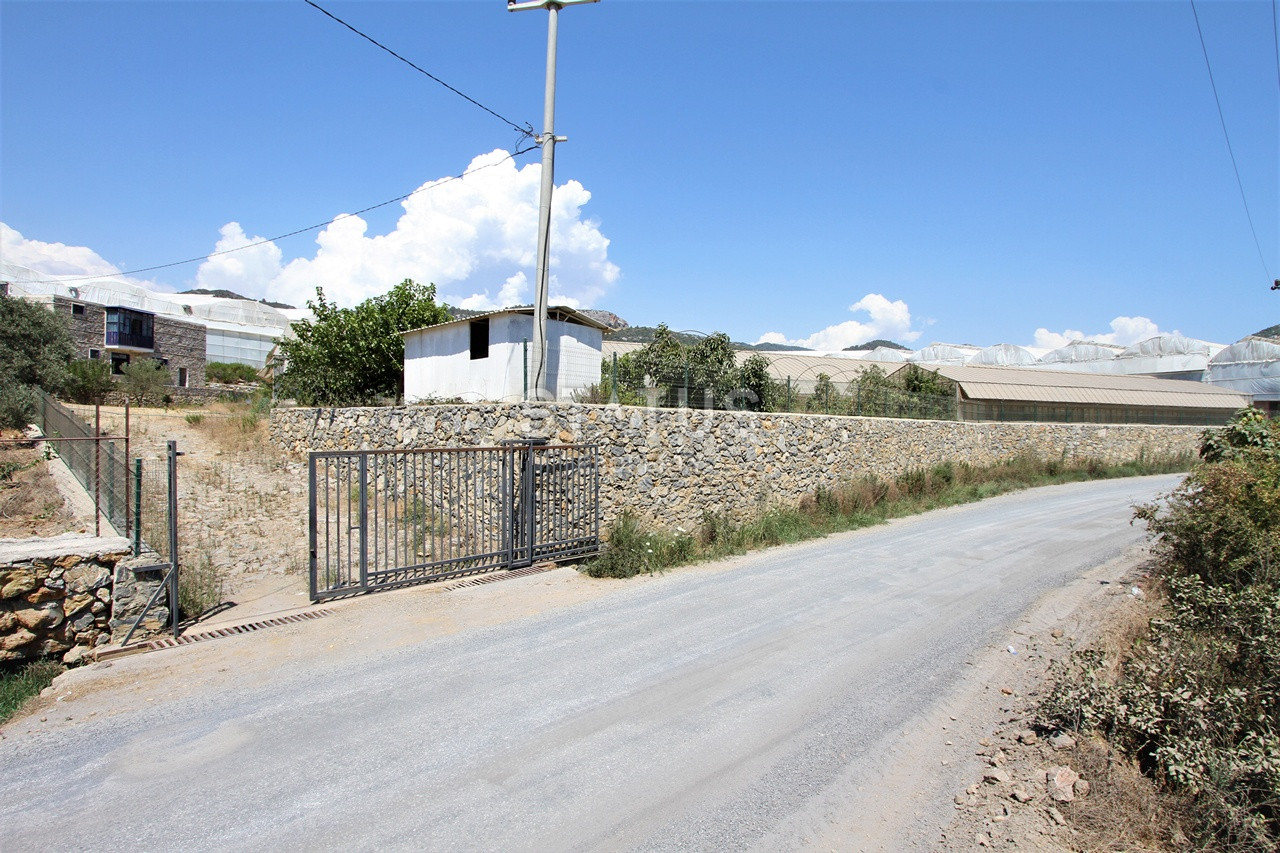 Земельный участок с большим домом и теплицей в Ходжалар, Алания. фото 25