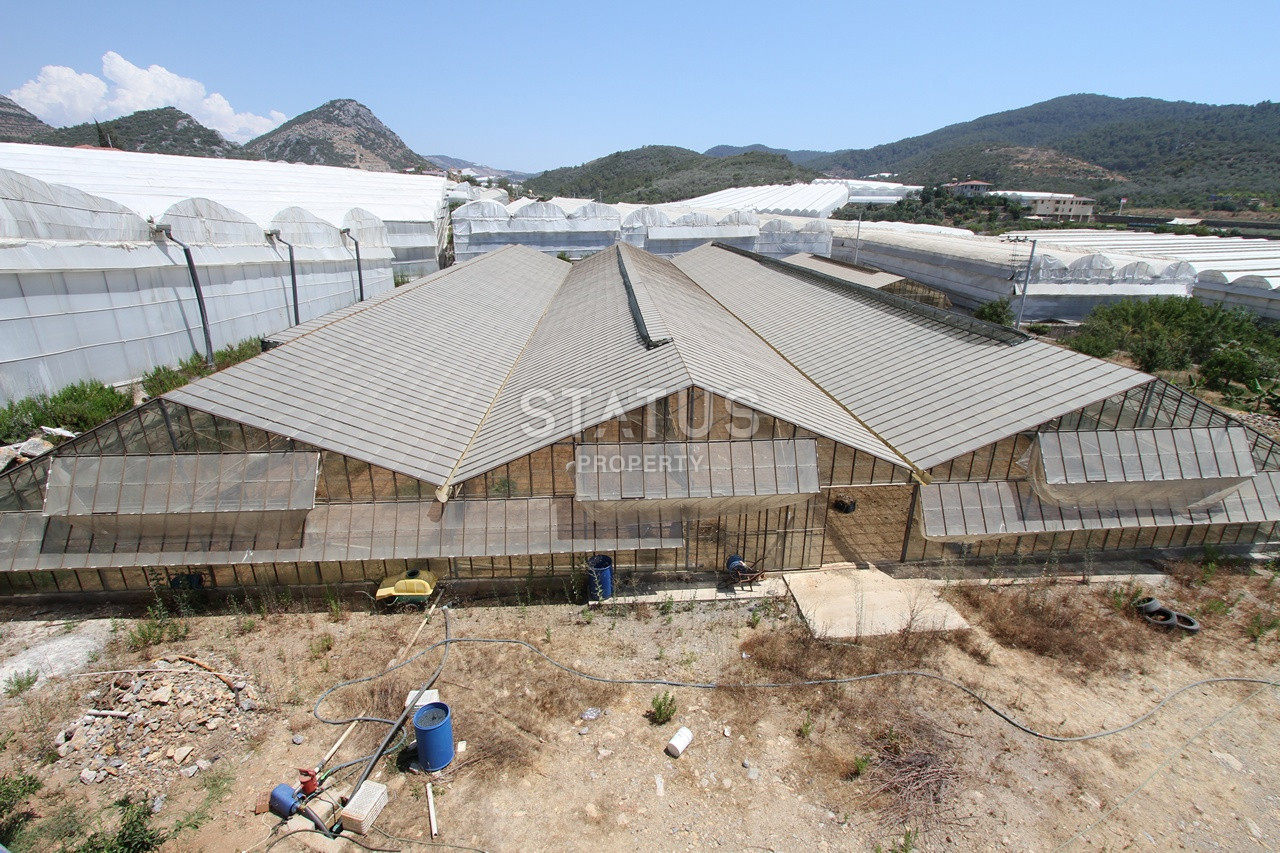 Земельный участок с большим домом и теплицей в Ходжалар, Алания. фото 26