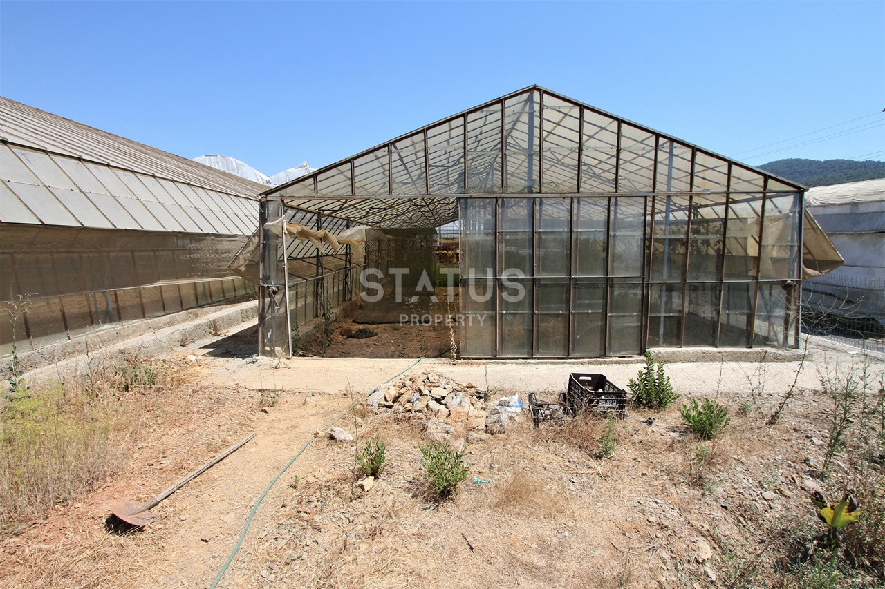 Земельный участок с большим домом и теплицей в Ходжалар, Алания. фото 28