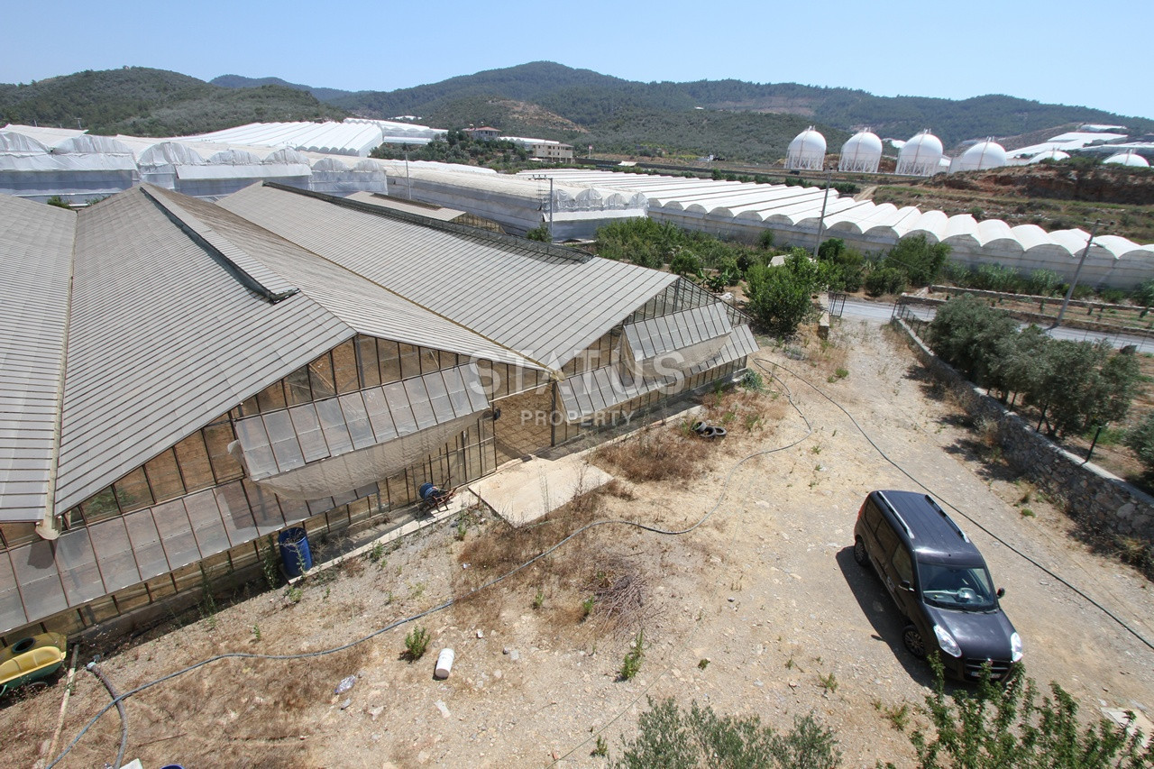 Земельный участок с большим домом и теплицей в Ходжалар, Алания. фото 29