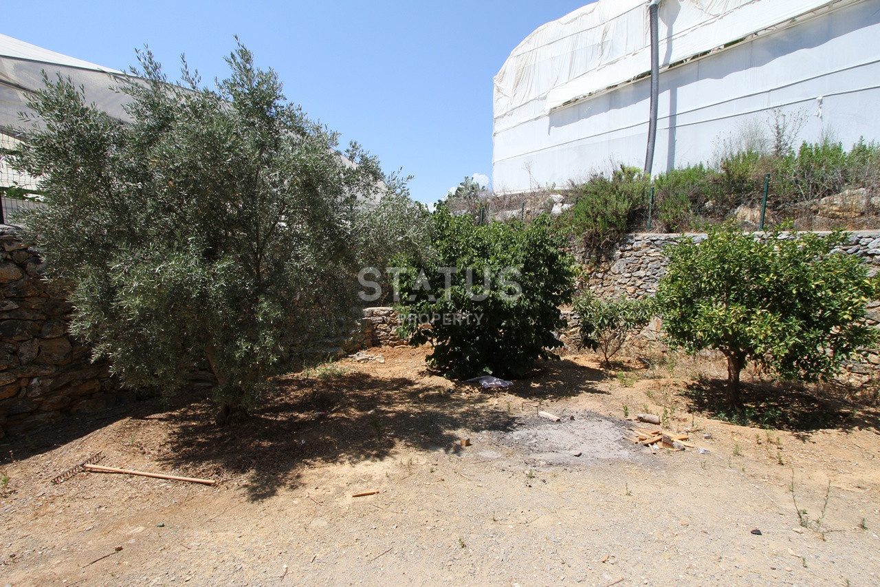 Земельный участок с большим домом и теплицей в Ходжалар, Алания. фото 30