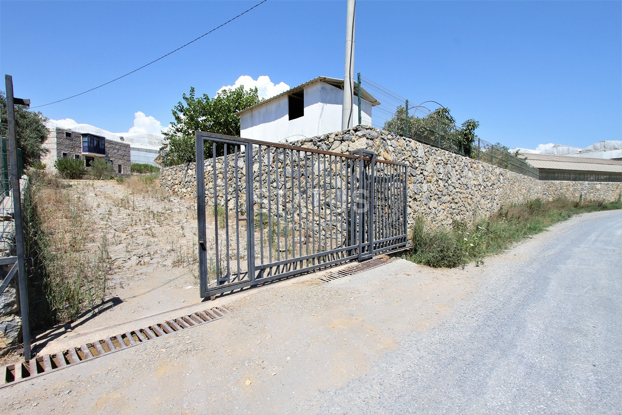 Земельный участок с большим домом и теплицей в Ходжалар, Алания. фото 33