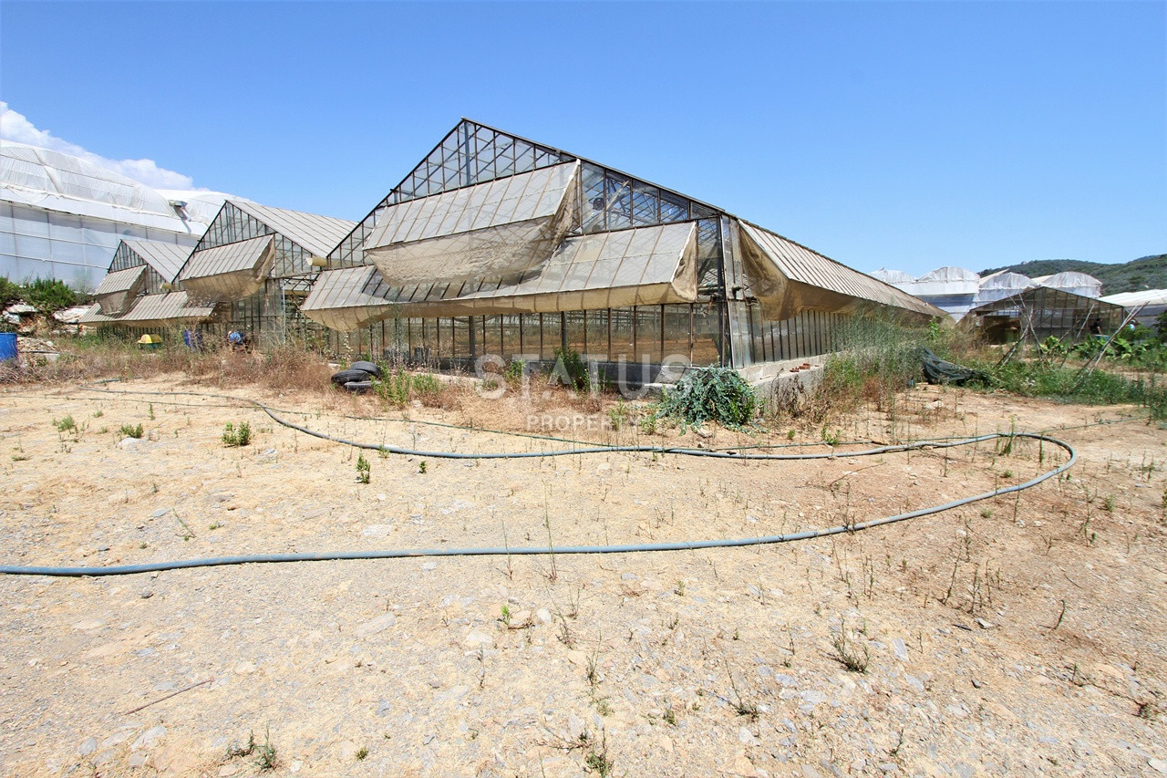 Земельный участок с большим домом и теплицей в Ходжалар, Алания. фото 35
