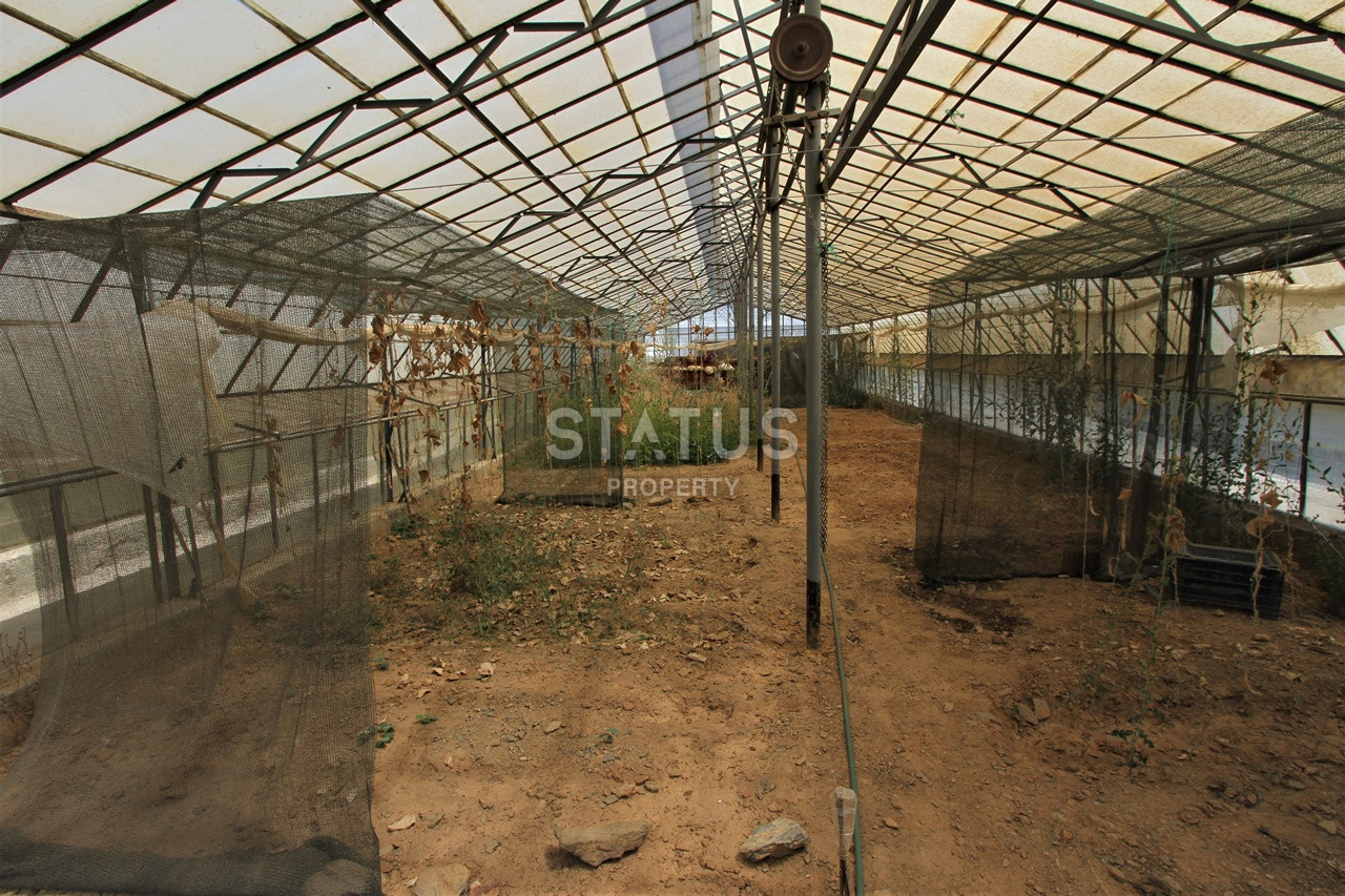 Земельный участок с большим домом и теплицей в Ходжалар, Алания. фото 36
