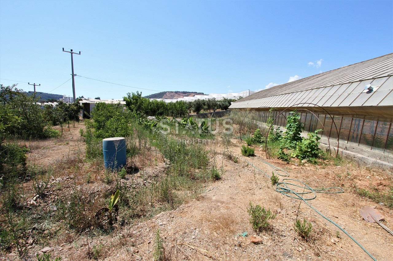Земельный участок с большим домом и теплицей в Ходжалар, Алания. фото 37