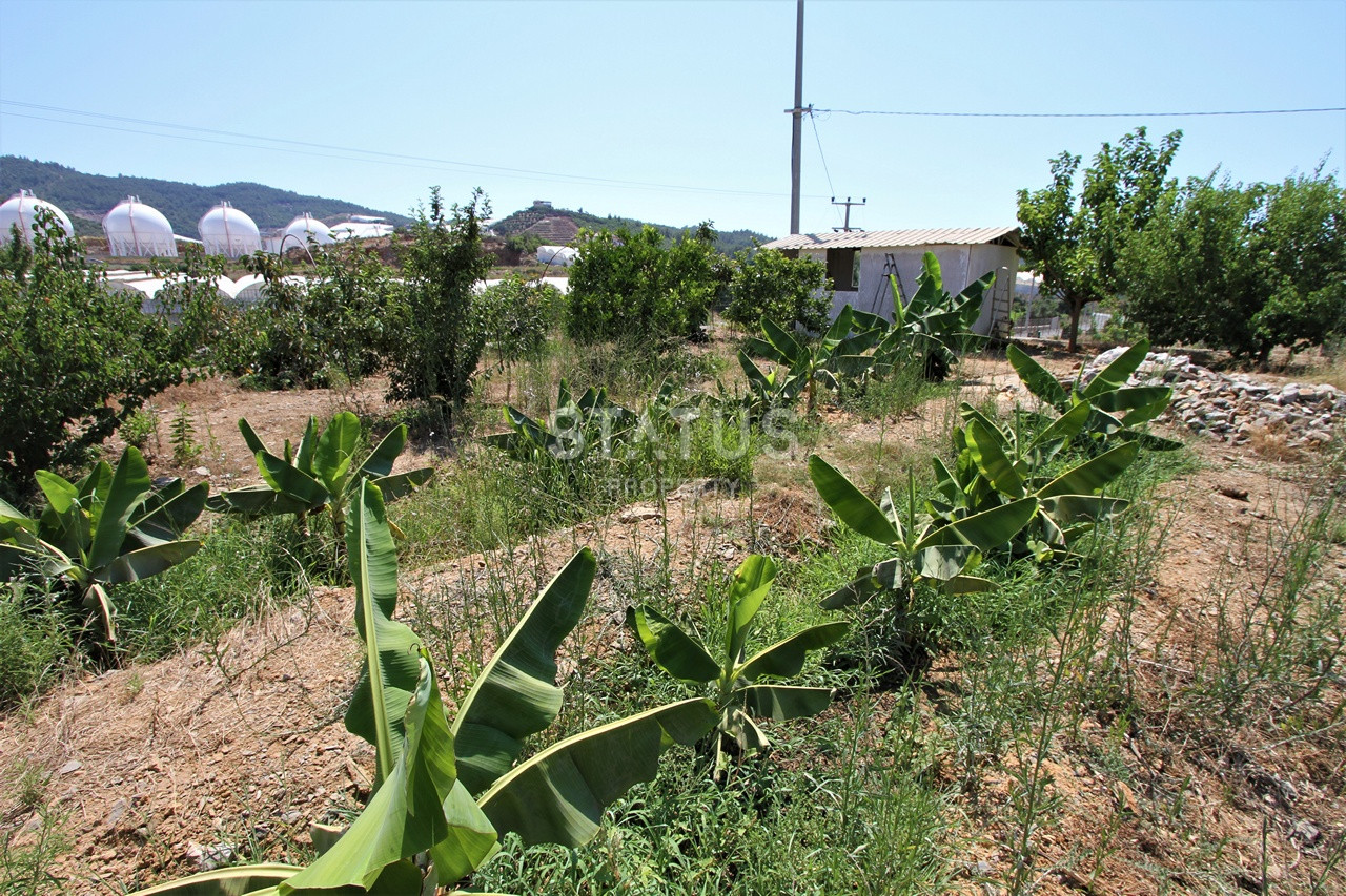Земельный участок с большим домом и теплицей в Ходжалар, Алания. фото 39