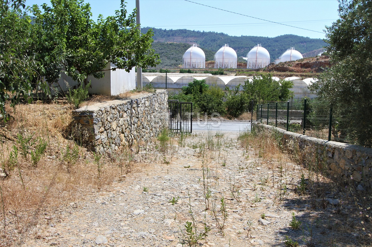 Земельный участок с большим домом и теплицей в Ходжалар, Алания. фото 40