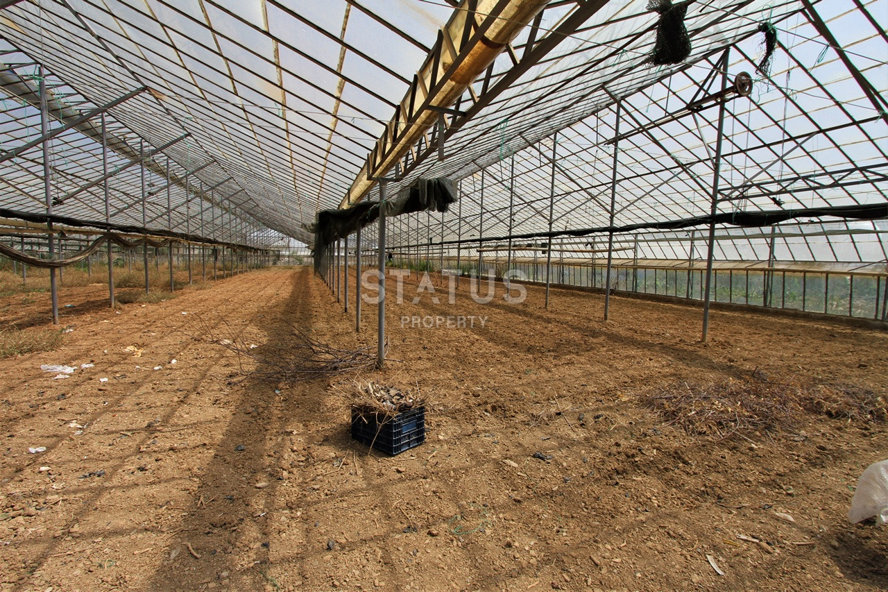 Земельный участок с большим домом и теплицей в Ходжалар, Алания. фото 41