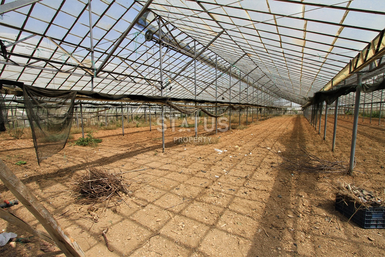 Земельный участок с большим домом и теплицей в Ходжалар, Алания. фото 42